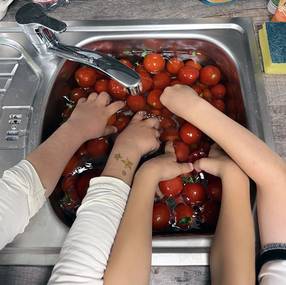 vier Kinderhände waschen Tomaten in einem großen Waschbecken